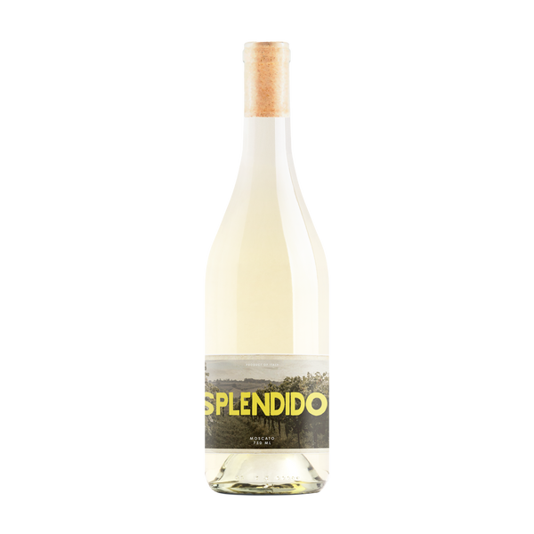 Splendido Moscato