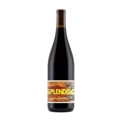 2021 Splendido Primitivo